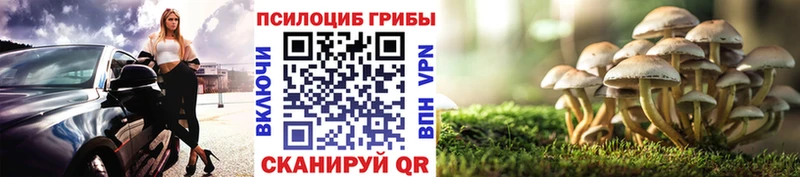 наркота  Юрюзань  MEGA сайт  Псилоцибиновые грибы ЛСД 